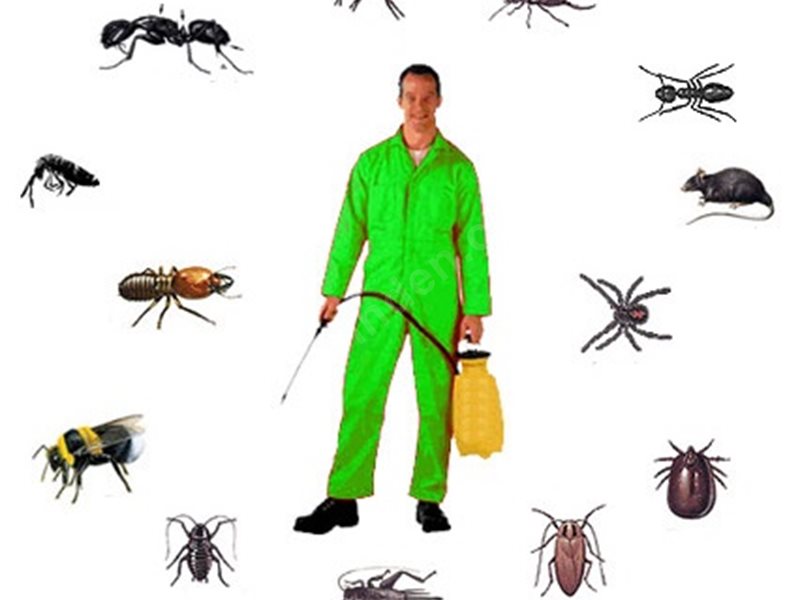 Adapazarı Böcek İlaçlama