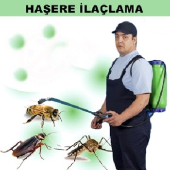 Adapazarı Böcek İlaçlama